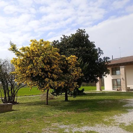 Agriturismo Trabucco Casale sul Sile Extérieur photo